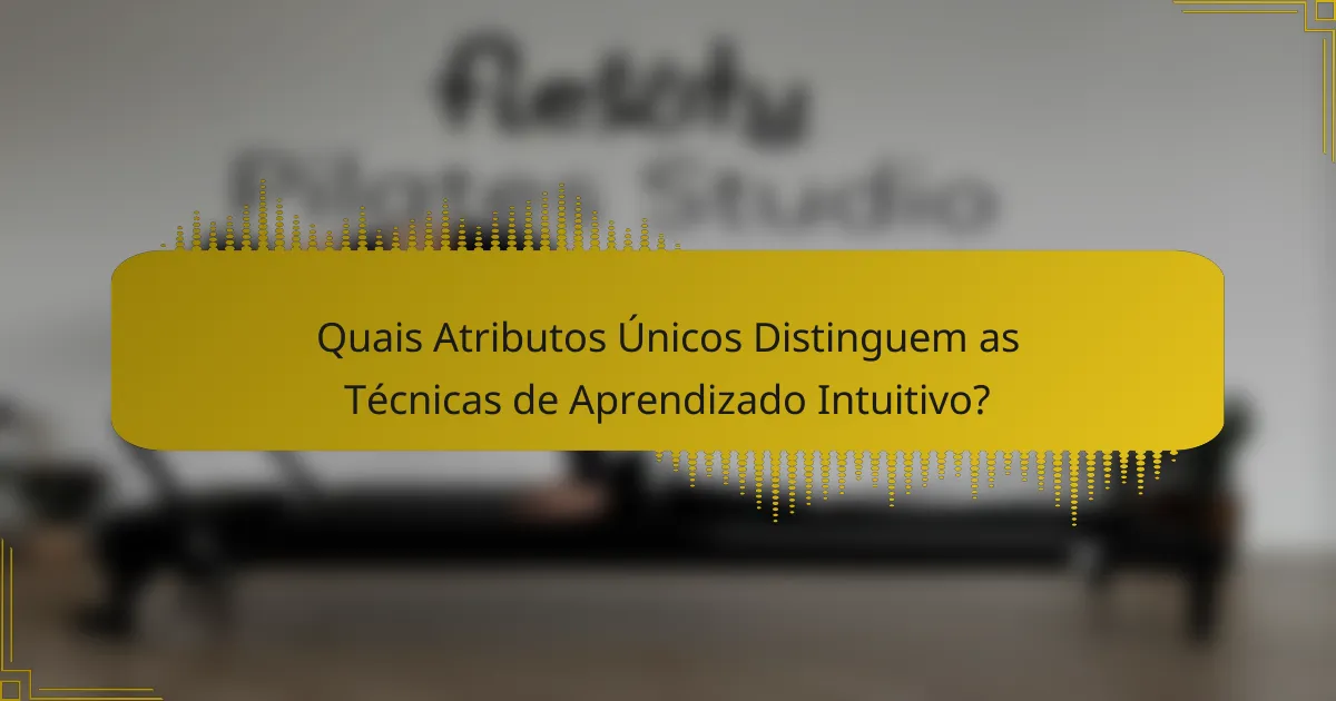 Quais Atributos Únicos Distinguem as Técnicas de Aprendizado Intuitivo?