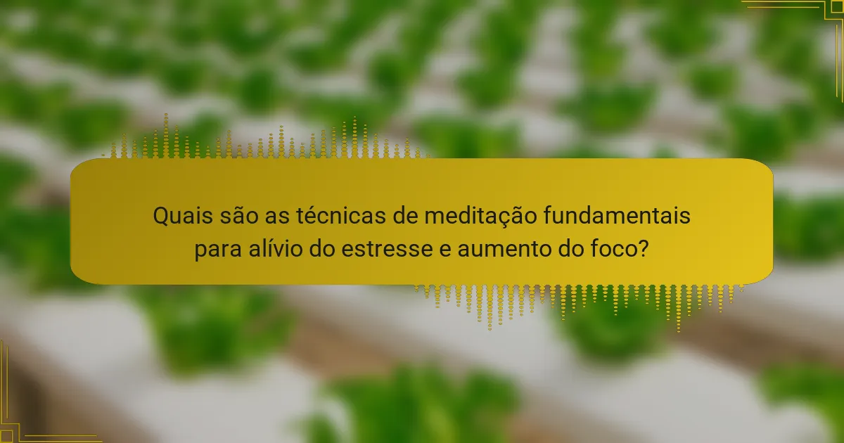 Quais são as técnicas de meditação fundamentais para alívio do estresse e aumento do foco?