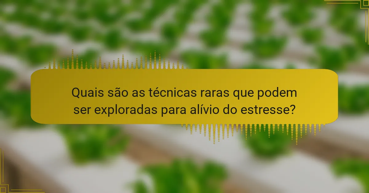 Quais são as técnicas raras que podem ser exploradas para alívio do estresse?